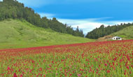 Khaptad National Park Tour